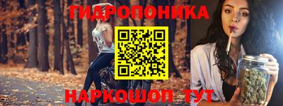 ешки Гудермес