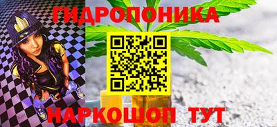 шишки Гуково
